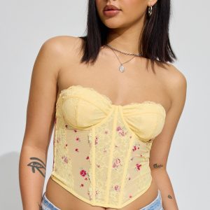 Chrishell Lace Mesh Bustier